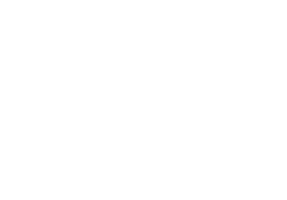 White CMS logo