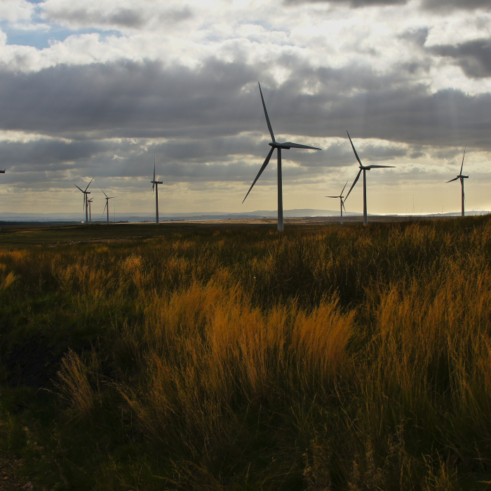 Whitelee