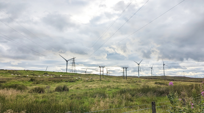 Grid and wind farm 2