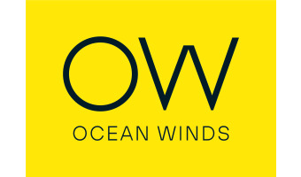 Oficial OW Logo yellow