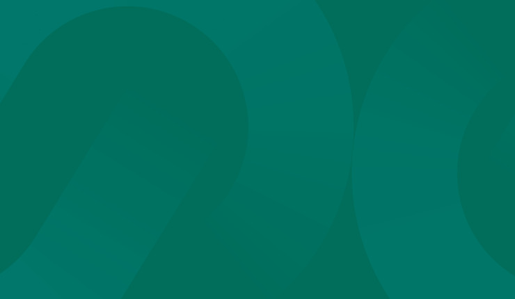 SC banner